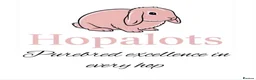 Mini Lop rabbits for sale: Pure mini lops in Bury Saint Edmunds - Advert 1