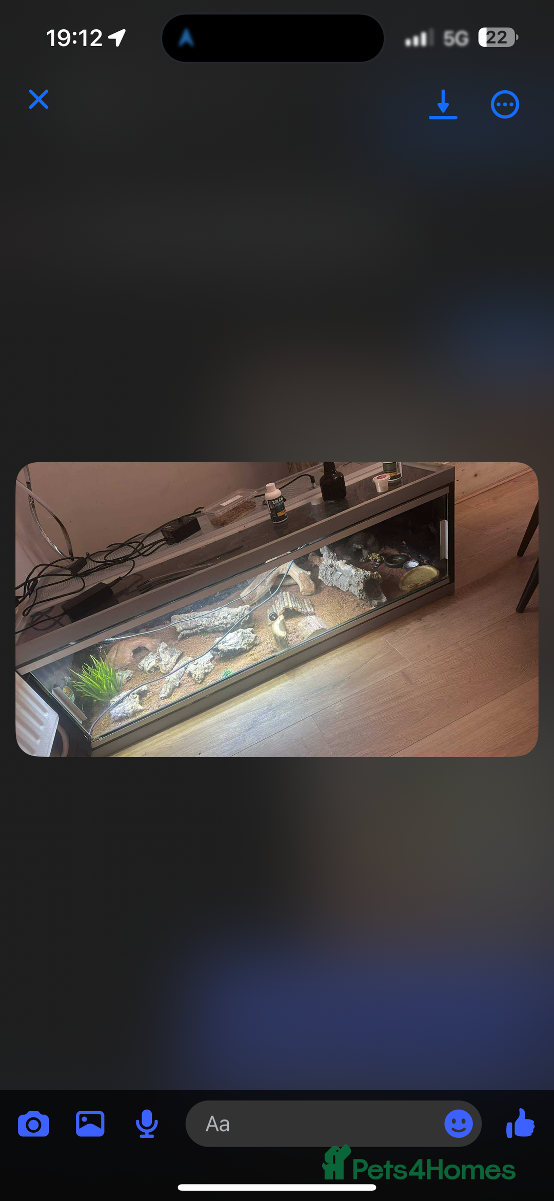 Leopard Gecko reptiles for sale: 4 foot vivarium set up  - Image 1