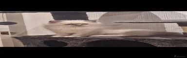 Ragdoll 4