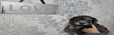 Reserved