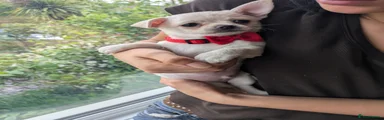 Kenco