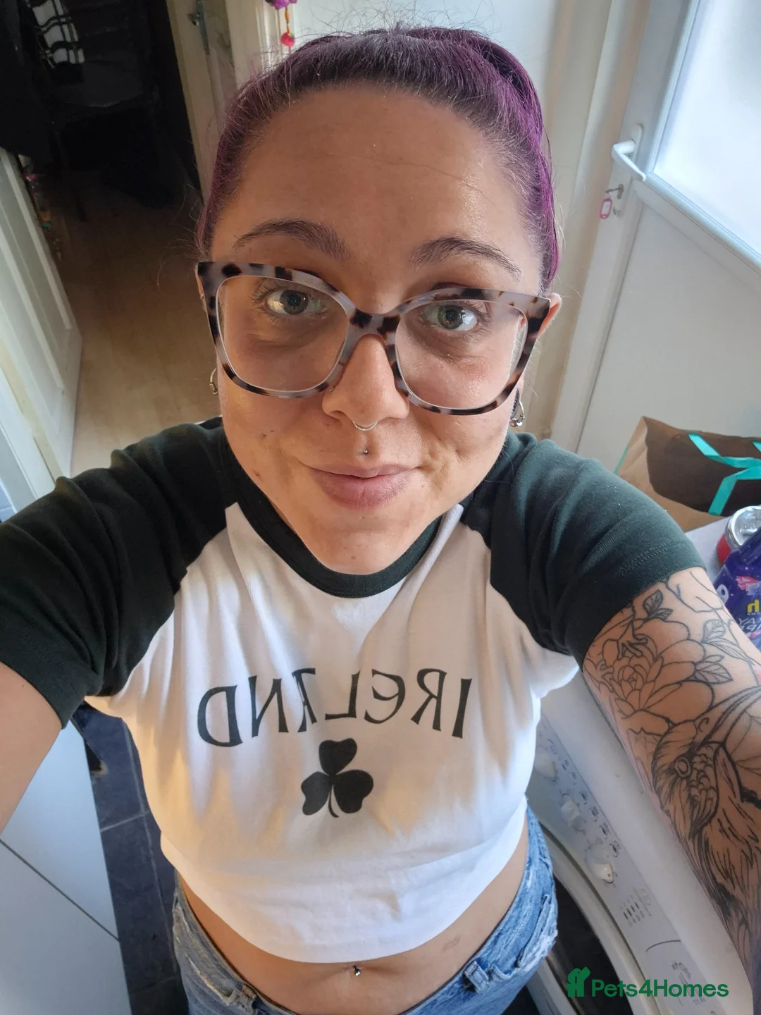 Gallery Image {{count}}