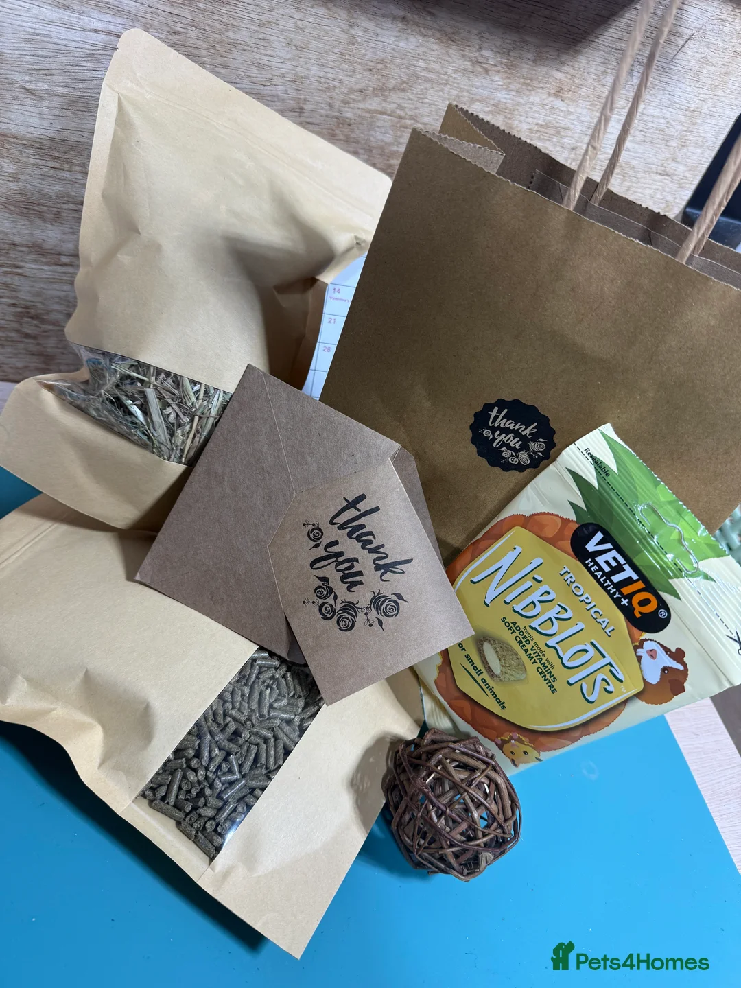 Mixed Breed rabbits for sale: Baby Mini Lion Lops - Advert 6