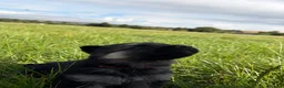 German Shepherd dogs for sale: 3 female German Shepard pups in Littleborough - Advert 6