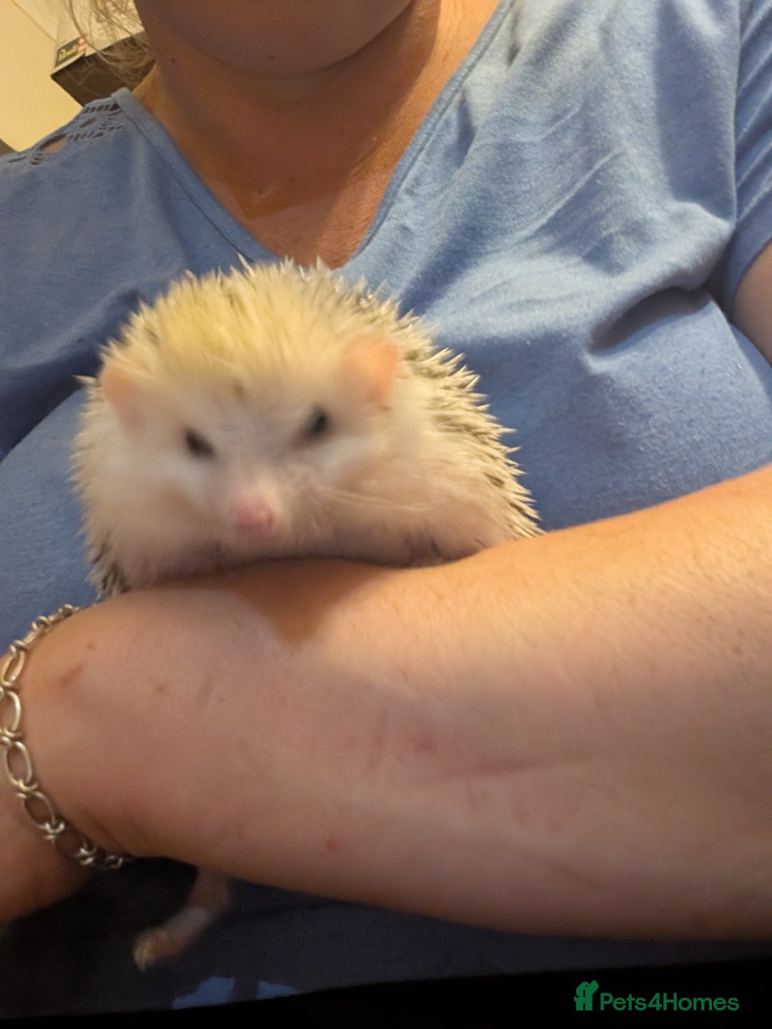 Gallery Image {{count}}