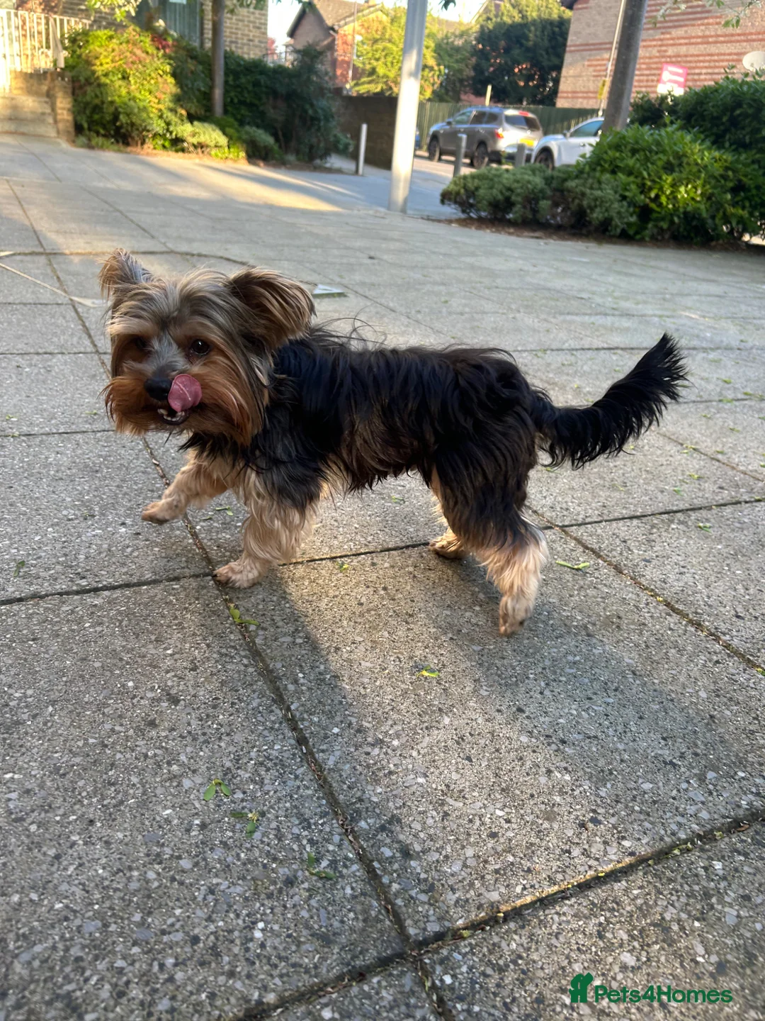 Gallery Image {{count}}