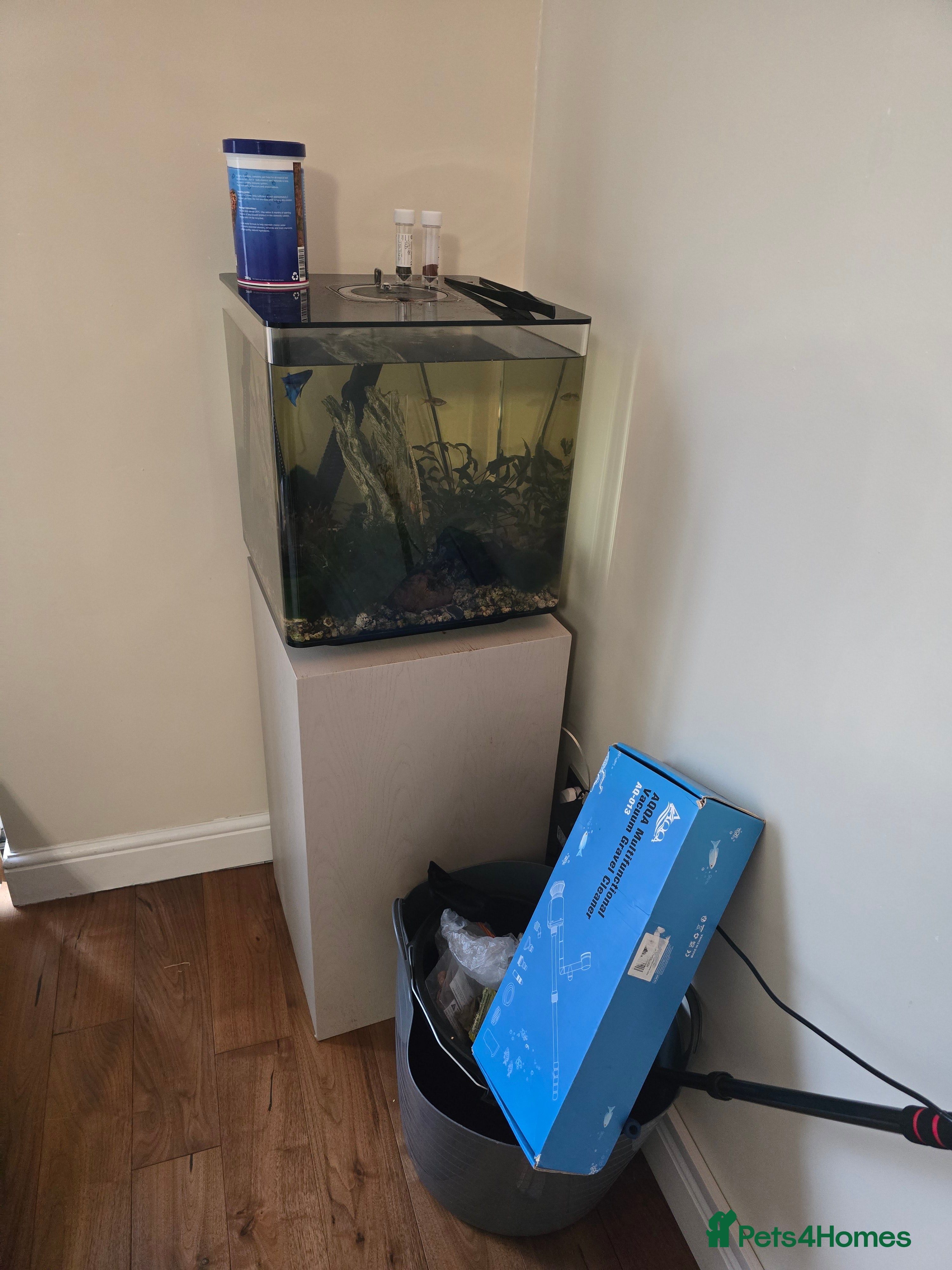 Bettas fish Biorb 60l tanks + accessories - Advert 5