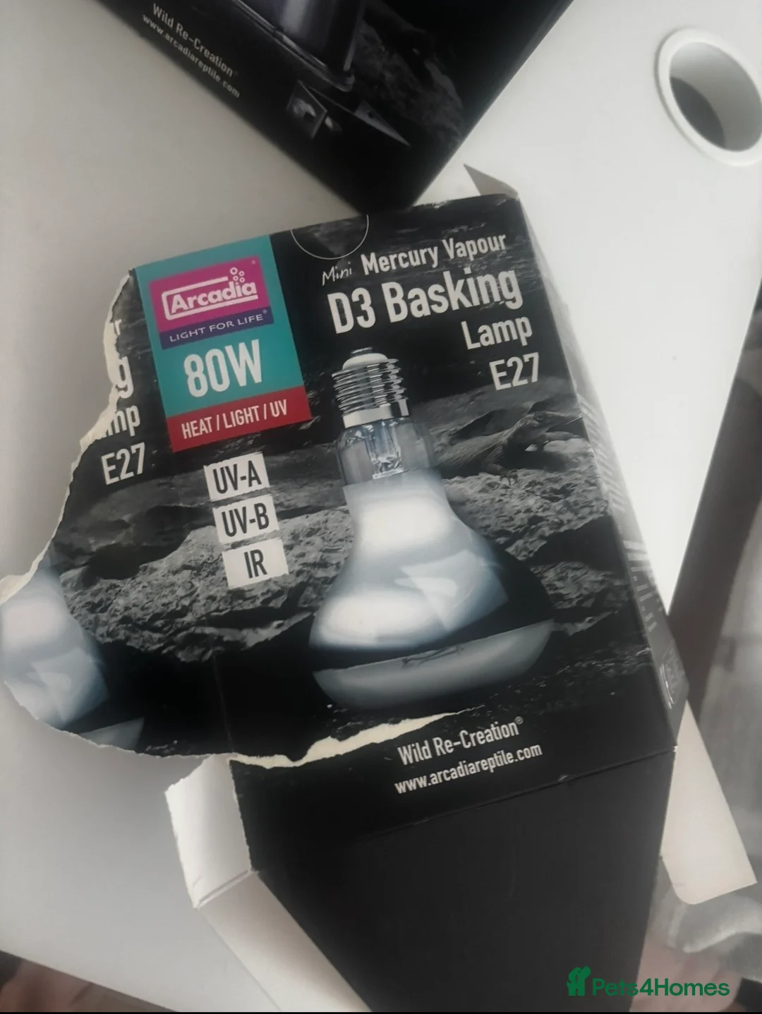 Tortoise reptiles for sale: 1 year old Horsfield Tortoise with enclosure etc - Advert 10