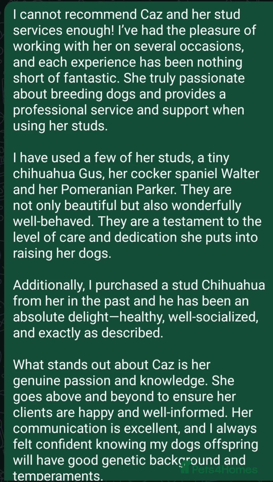 Golden Retriever dogs for stud: Extensively health tested show type kc reg in Bedford - Advert 27