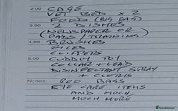 Shih Tzu dogs for sale: SHIH TZU litter. Ready 15/01/2026 - Advert 6