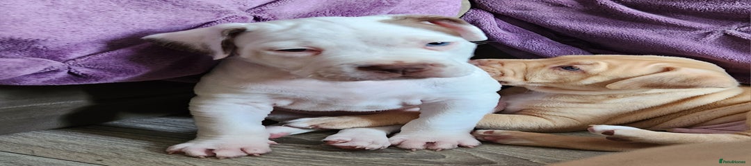Yëti🩵