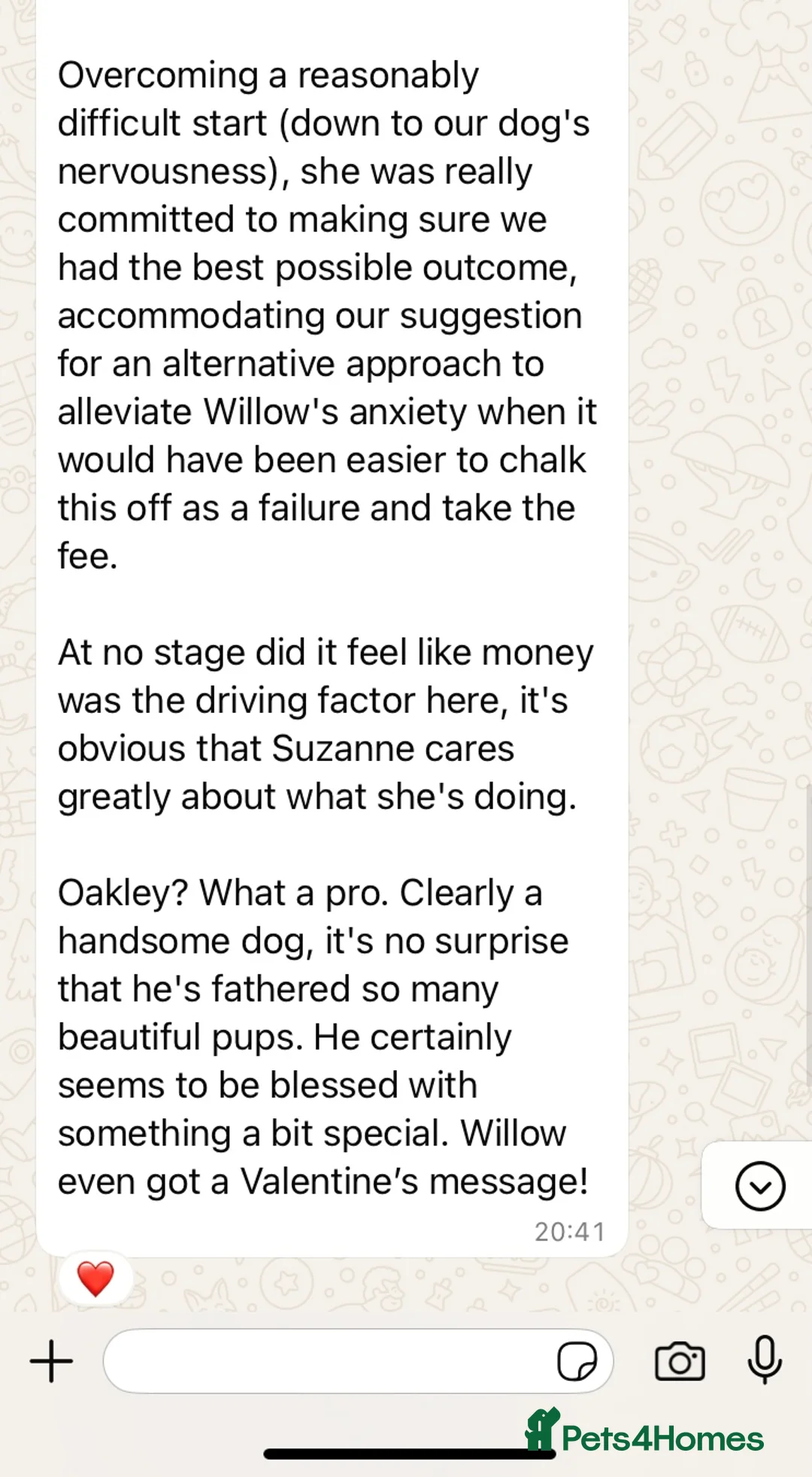 Cockapoo dogs for stud: TRICOLOUR F1 PROVEN ATAT CERTIFIED COCKAPOO STUD in Bromley - Advert 6