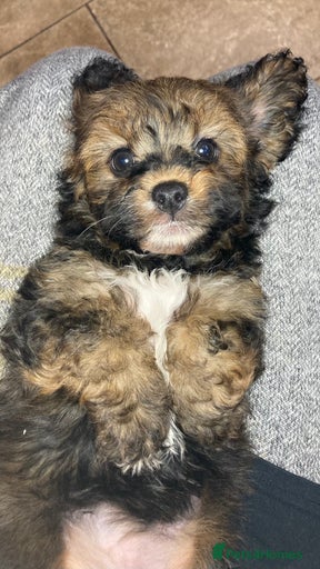 Gallery Image {{count}}