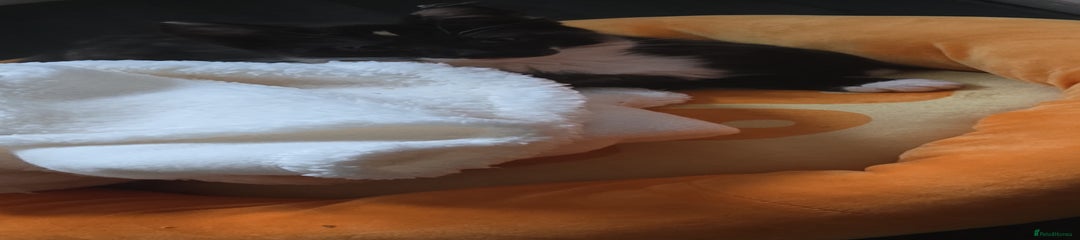 Torch