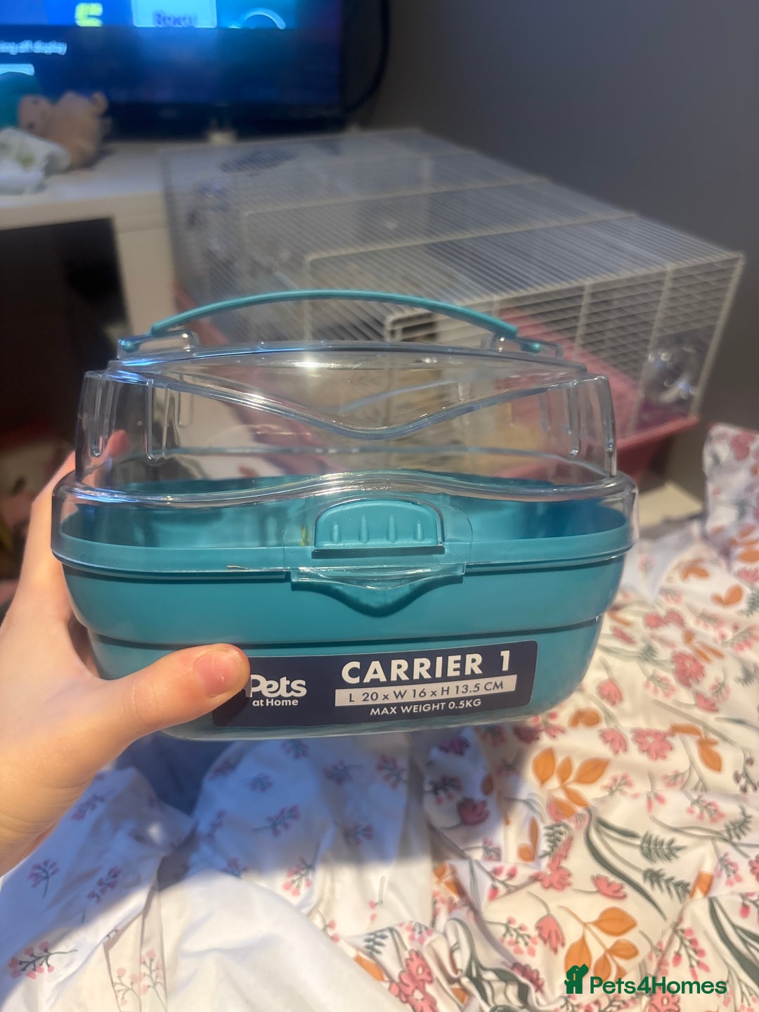 Hamster rodents for sale: Dwarf hamster + cage for sale- Manchester - Image 2