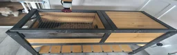 Tortoise reptiles for sale: tortoises & enclosure  in Milton Keynes - Advert 5