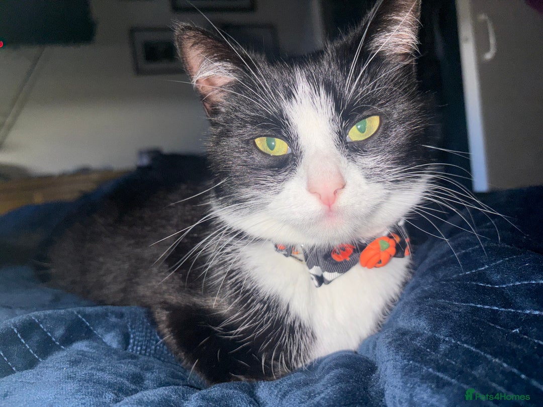 Gallery Image {{count}}