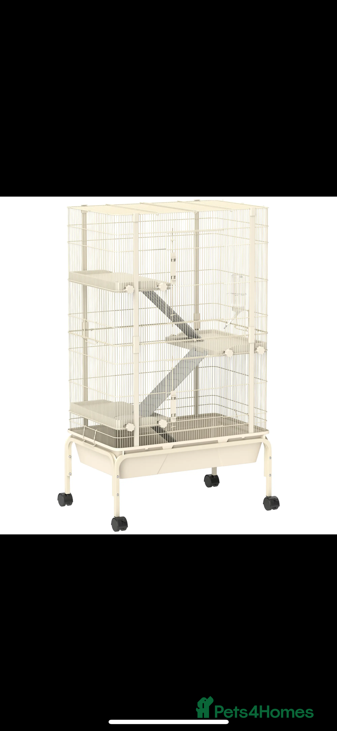 Rat rodents for sale: 3 males rats and cage  - Image 9