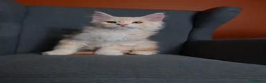 Oliver