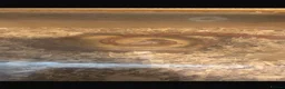 Corn Snake reptiles for sale: Corn snake - Advert 1