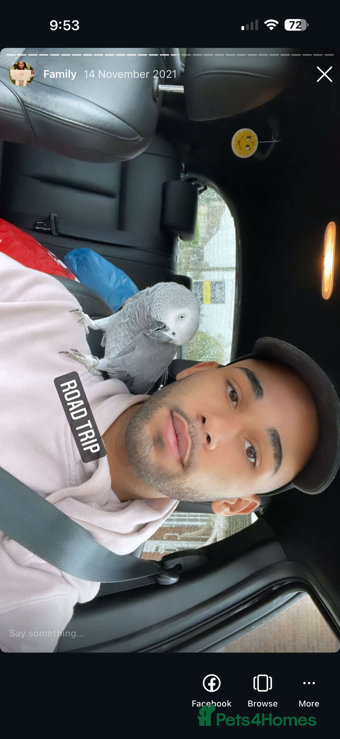 Parrots birds for sale: Friendly tame recall trained African grey  - Advert 4