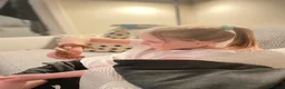 Corn Snake reptiles for sale: Friendly little corn in Glasgow - Advert 4