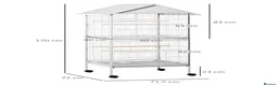 Lovebirds birds for sale: Pair of love birds with cage and other accessories - Advert 4