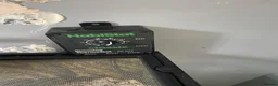 Gecko reptiles for sale: Mourning gecko enclosure and sand gecko enclosure  - Advert 13