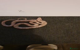 Corn Snake reptiles for sale: 🐍2 left ready to go 🐍 - Image 2