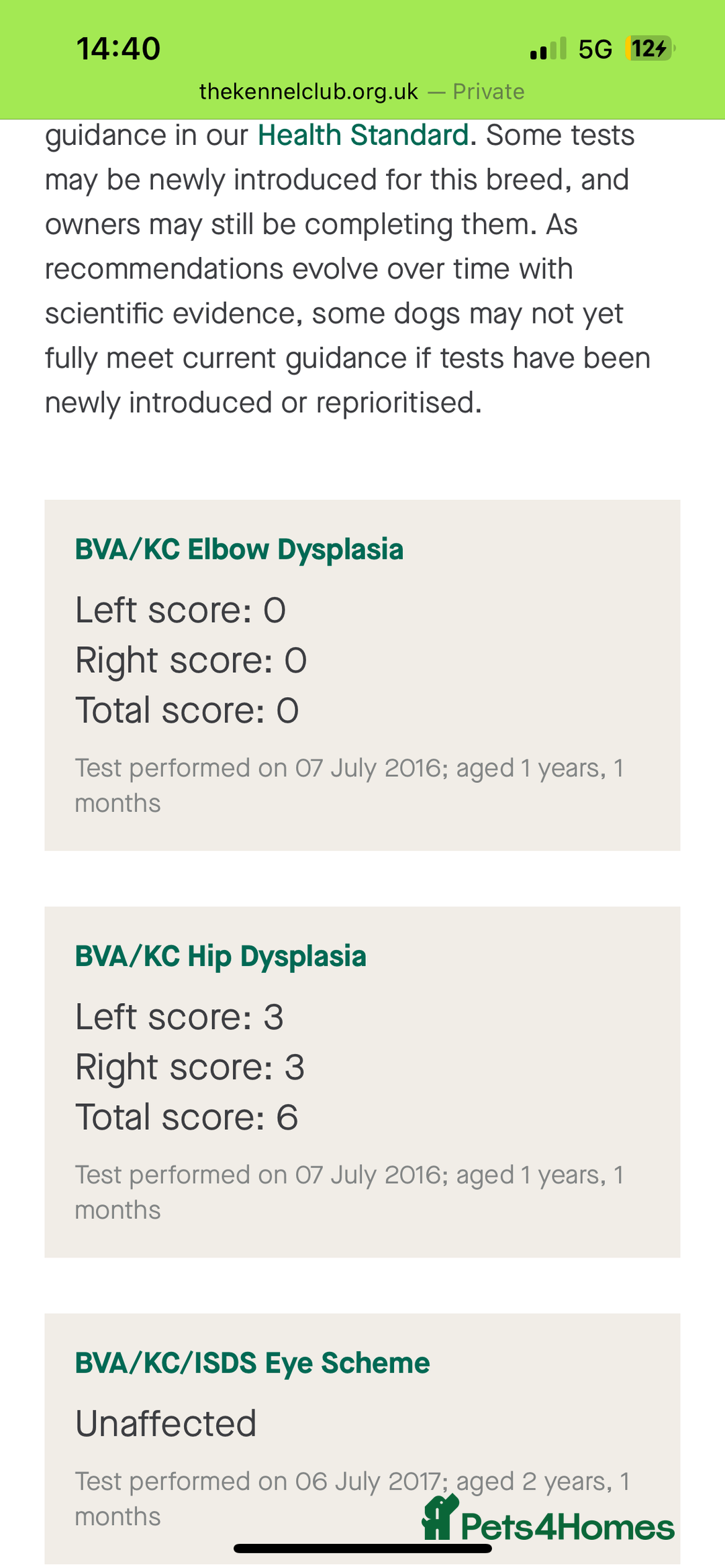 Golden Retriever dogs for sale: Stunning Golden Retriever Adult - Image 4