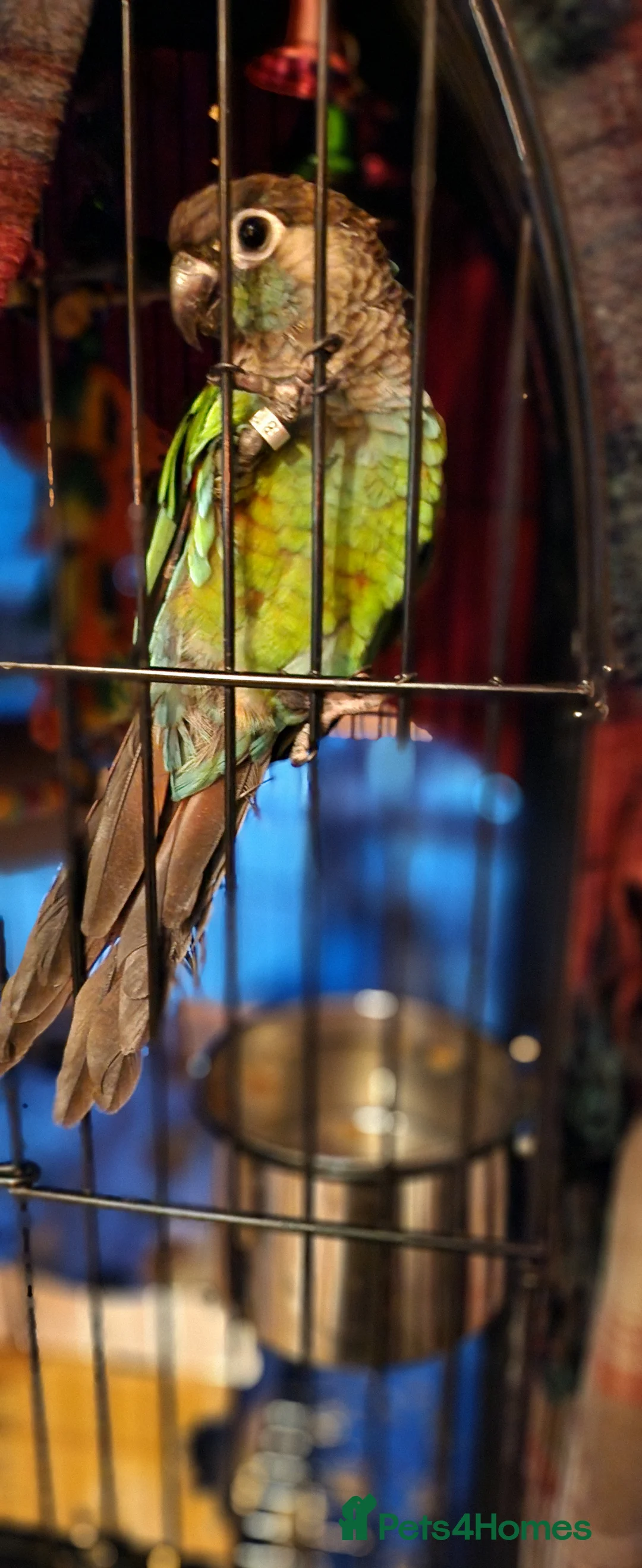 Gallery Image {{count}}