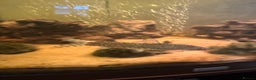 Loaches fish for sale: Yoyo loach x3  - Advert 3