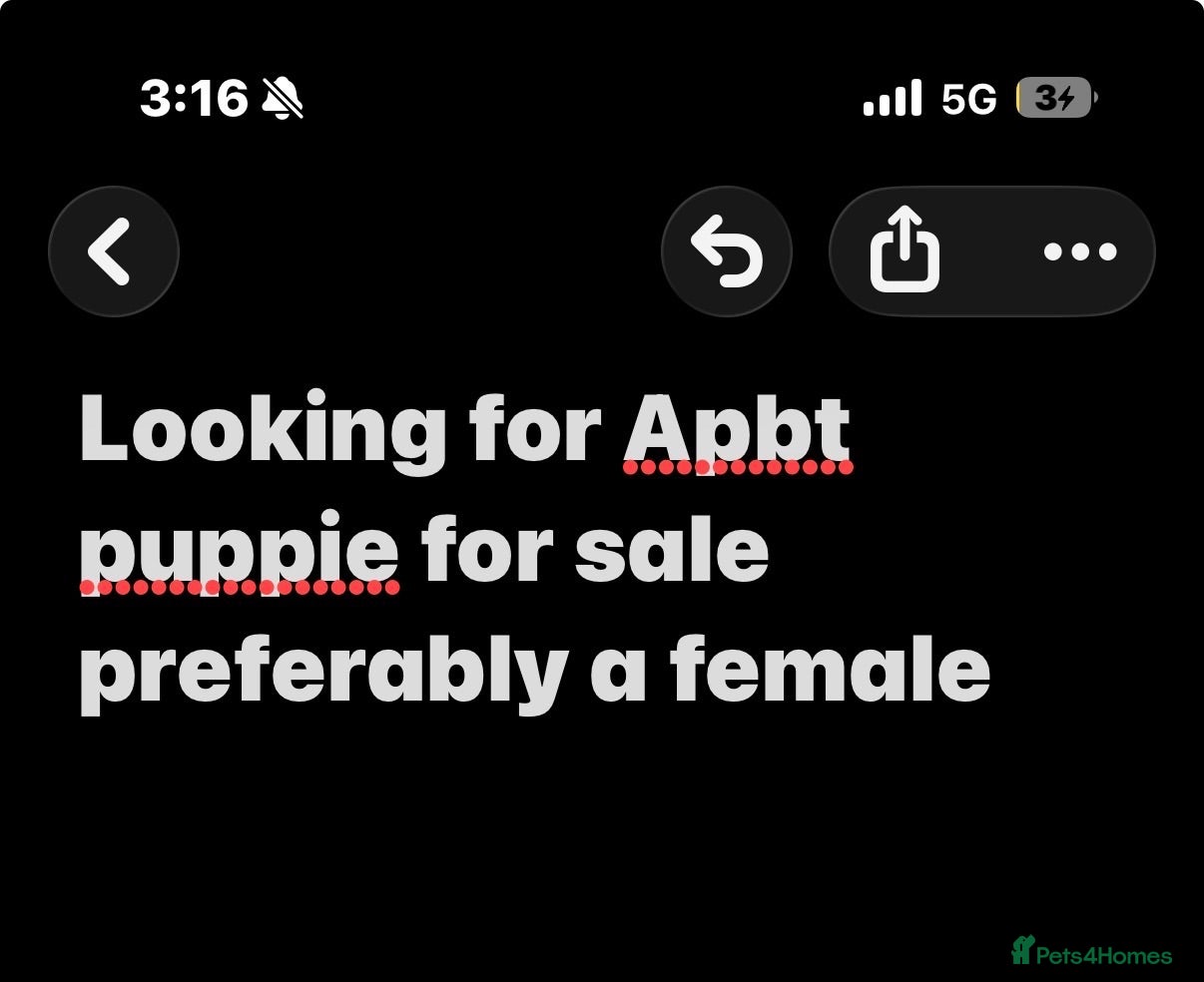 Mixed Breed dogs Looking for Apbt pup for sale - Advert 9