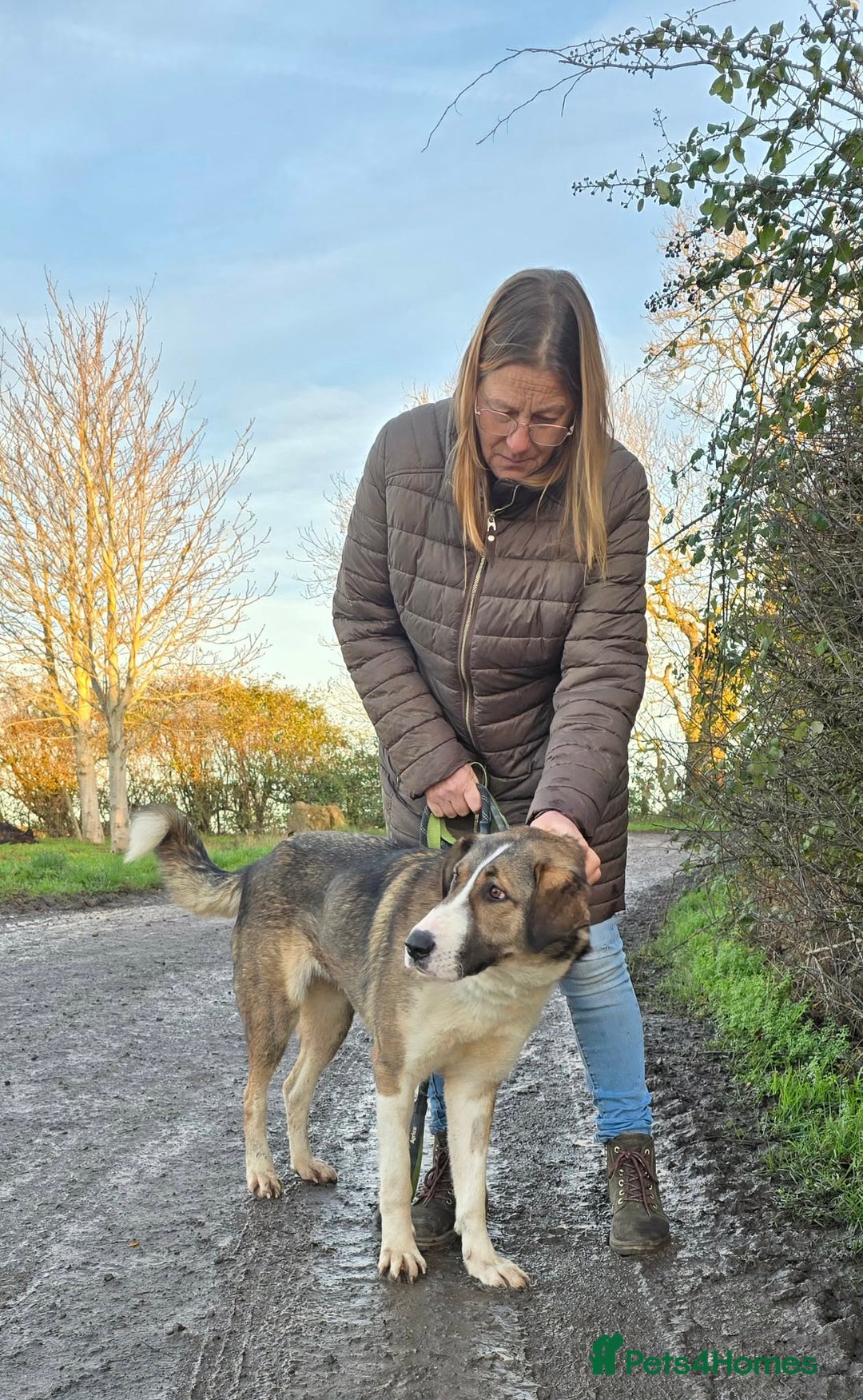 Mixed Breed dogs for adoption: BLANCA - Advert 9