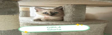 Gloria
