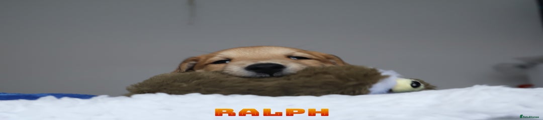 Ralph 