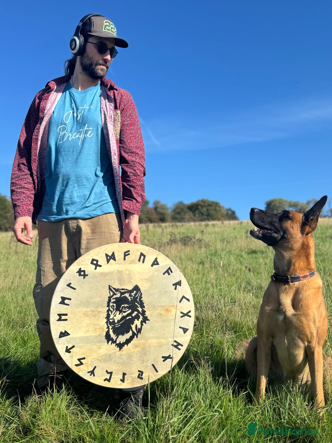 Belgian Shepherd Dog dogs for sale: Malinois Pups. Intentionally Bred as family dogs - Advert 26