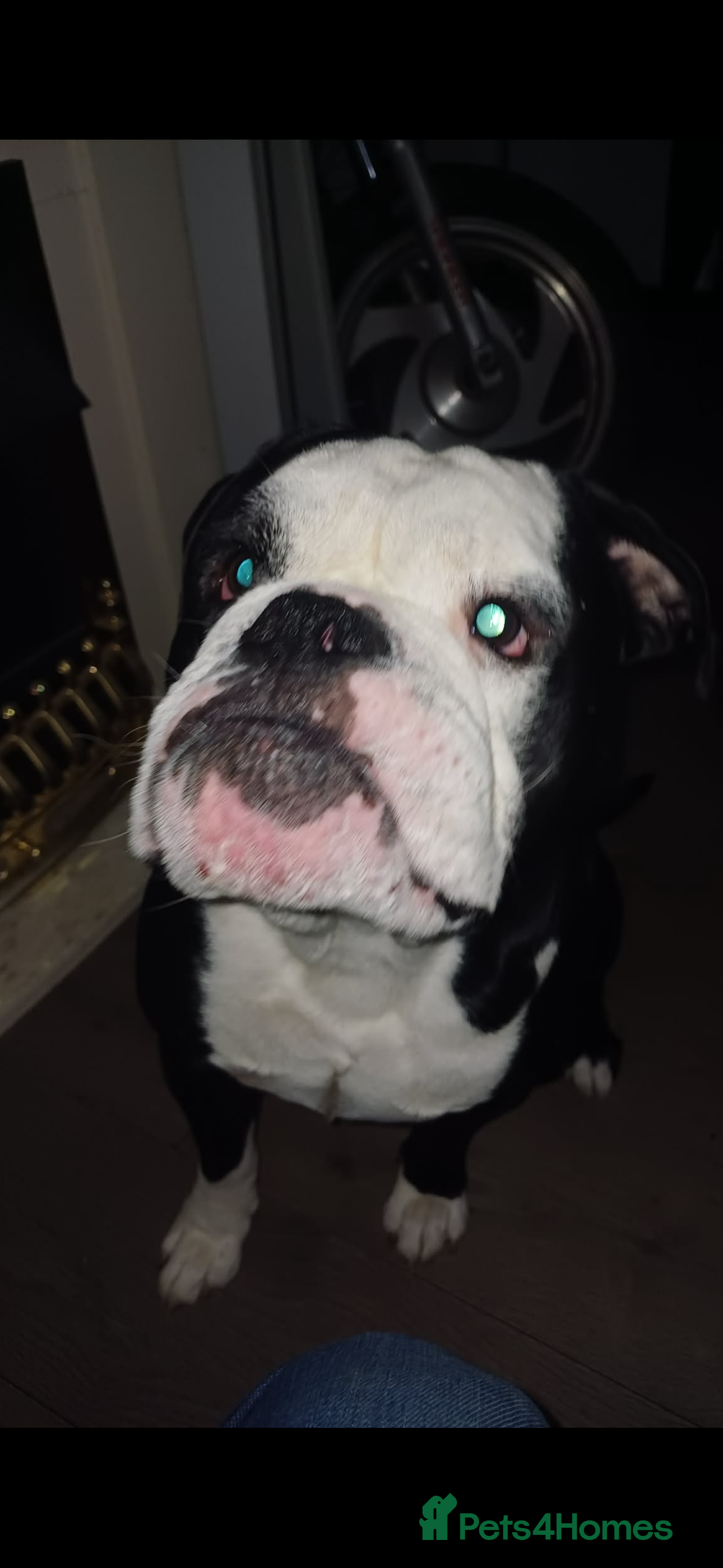 Charlie