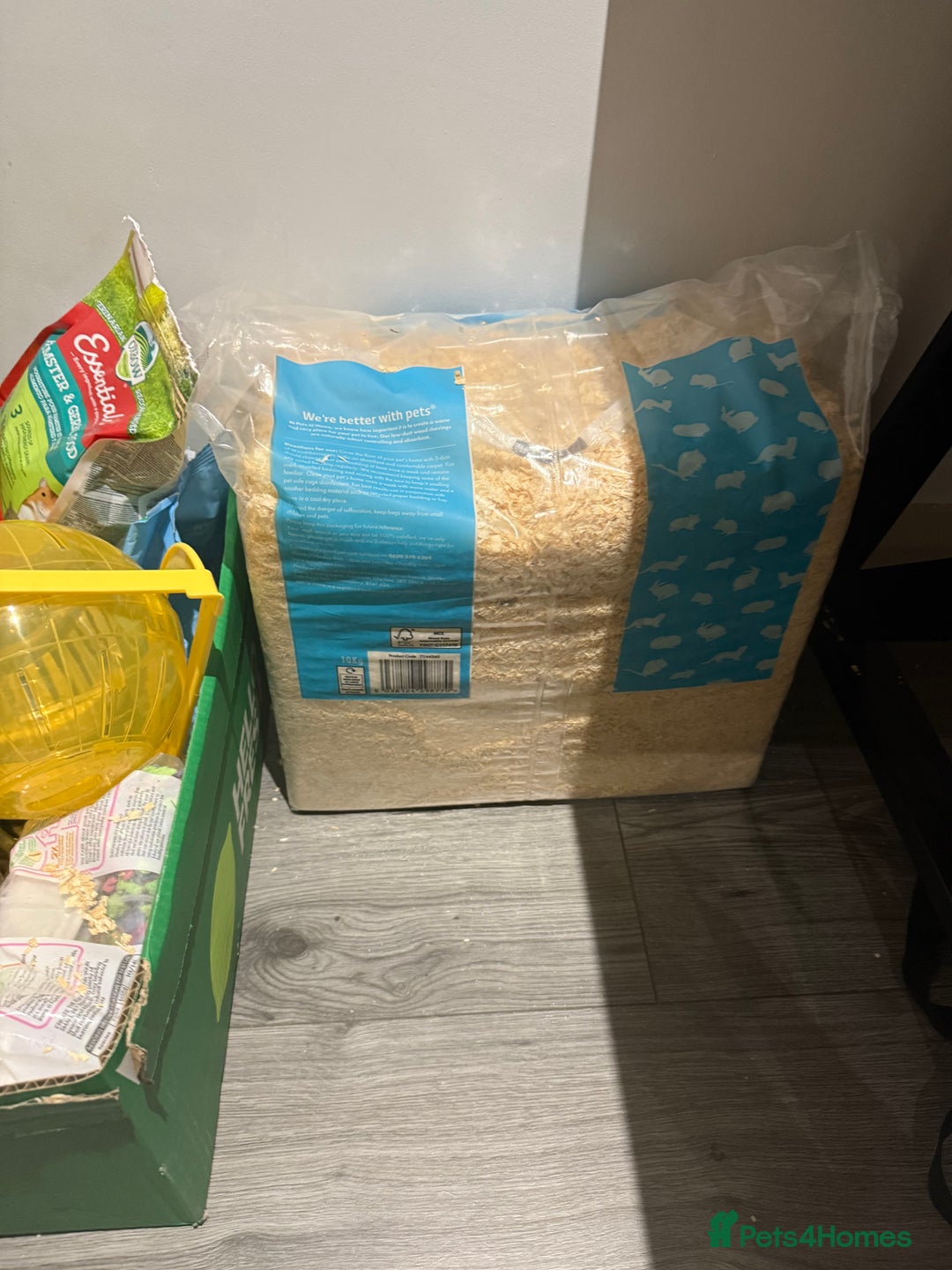 Gerbil rodents for sale: Two male gerbils to be rehomed asap - Image 11