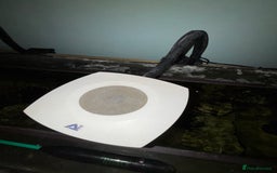 Other/Mixed Breed fish for sale: Marine Tank and Full Set Up  - Image 5