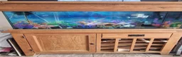Other/Mixed Breed fish for sale: Solid Oak Fish Tank Cabinet  in Caerphilly - Advert 2