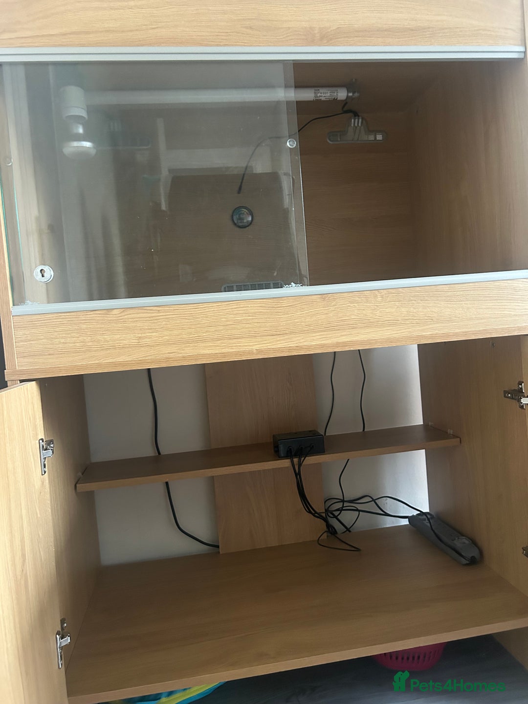 Leopard Gecko reptiles for sale: Leopard Gecko vivarium full set up - Image 8