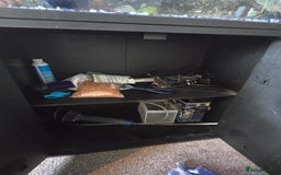 Barbs fish for sale: Tropical fish tank and fish  - Advert 2