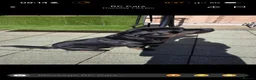 Mixed Breed dogs for sale: Rotweiller Cross ( 5 years old )  in Dagenham - Advert 10
