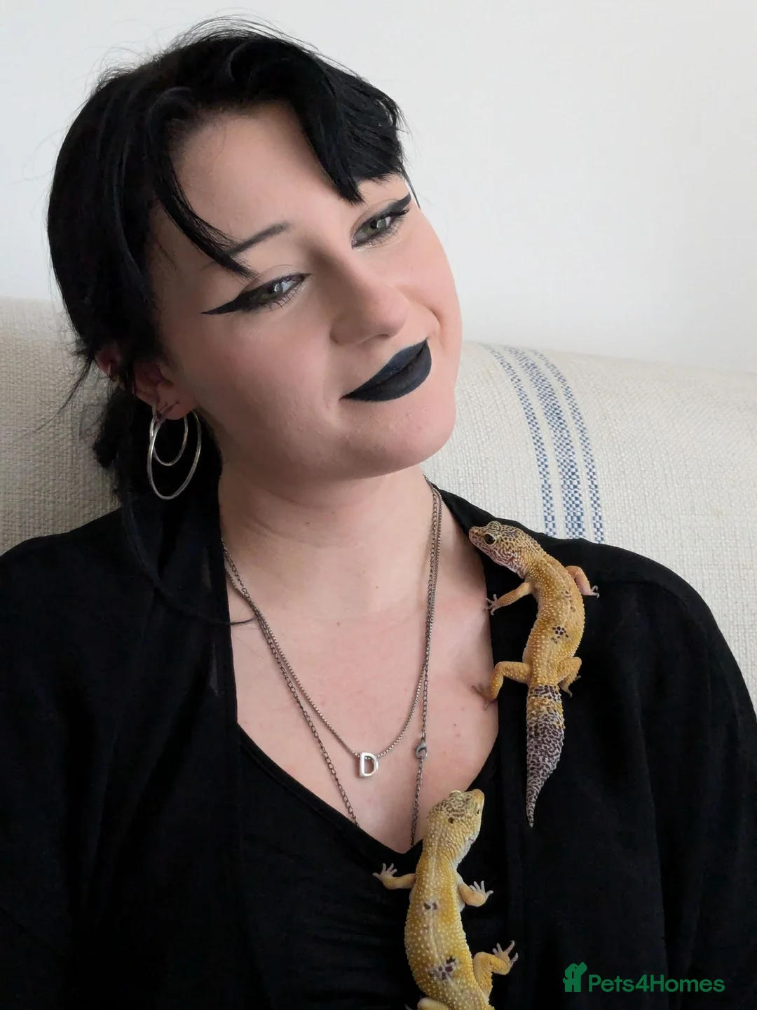 Leopard Gecko reptiles for sale: Two Leopard Geckos - Advert 2