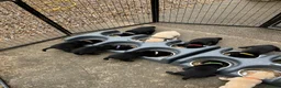 Labrador Retriever dogs for sale: Labrador puppies in Carlisle - Advert 12