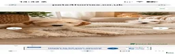 Australian Labradoodle dogs for sale: Beautiful Labradoodle Puppy  - Advert 2