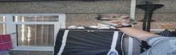 Pomeranian dogs for sale: Pomeranian  **  puppies Teddy bear face   in Leicester - Advert 9
