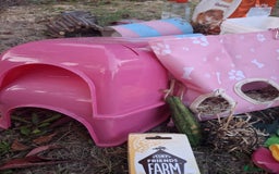 Guinea Pig rodents for sale: 3 Female Guinea Pigs- plus Hutch and extras - Image 11