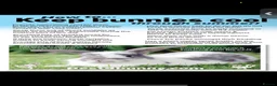 Mini Lion Lop rabbits for sale: Pure mini lion lops from show stock  - Advert 26